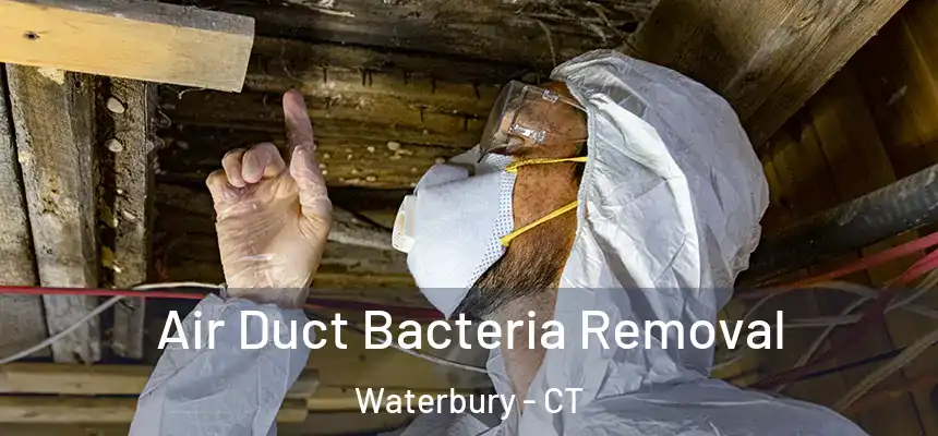  Air Duct Bacteria Removal Waterbury - CT