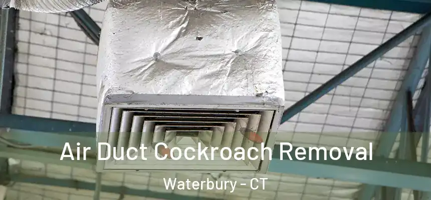  Air Duct Cockroach Removal Waterbury - CT