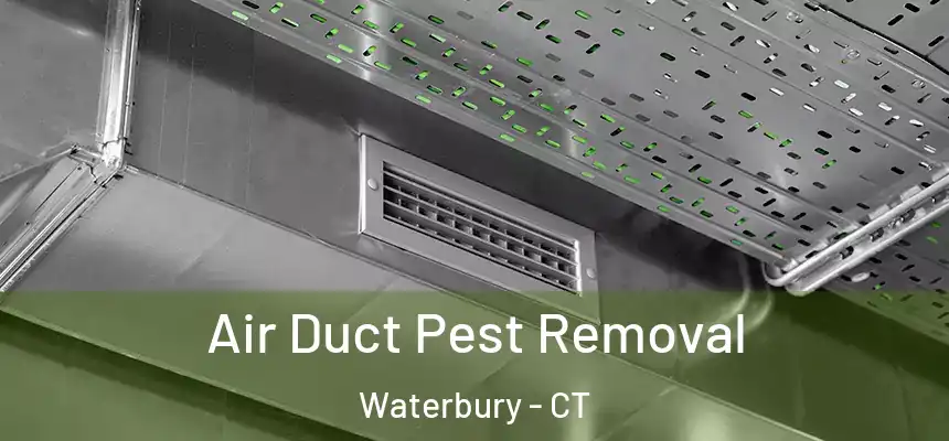  Air Duct Pest Removal Waterbury - CT