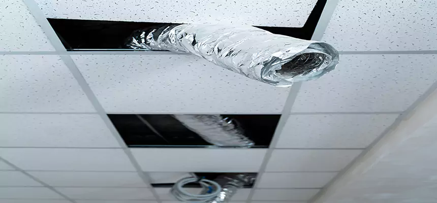 Our Air Duct Pet Hair Removal Services in Waterbury, CT