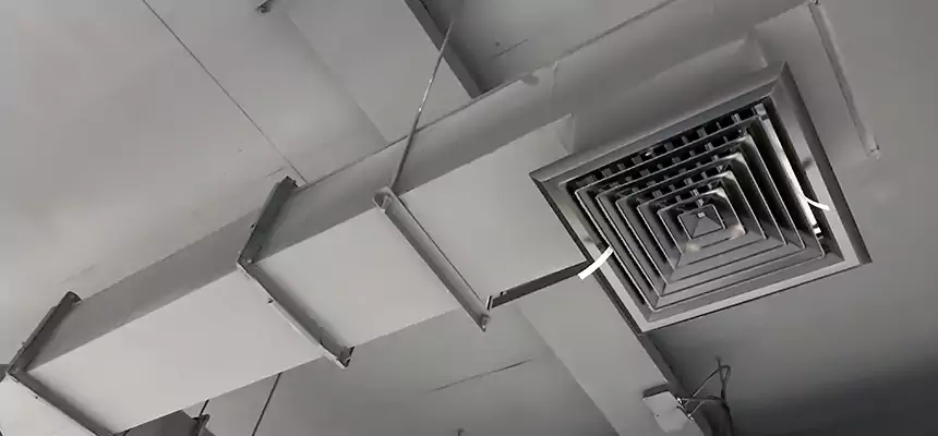 Our Rodent Droppings In Vents Services in Waterbury, CT