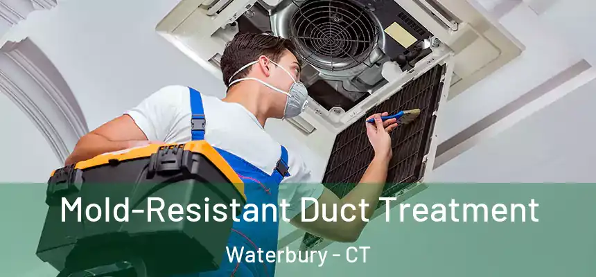  Mold-Resistant Duct Treatment Waterbury - CT