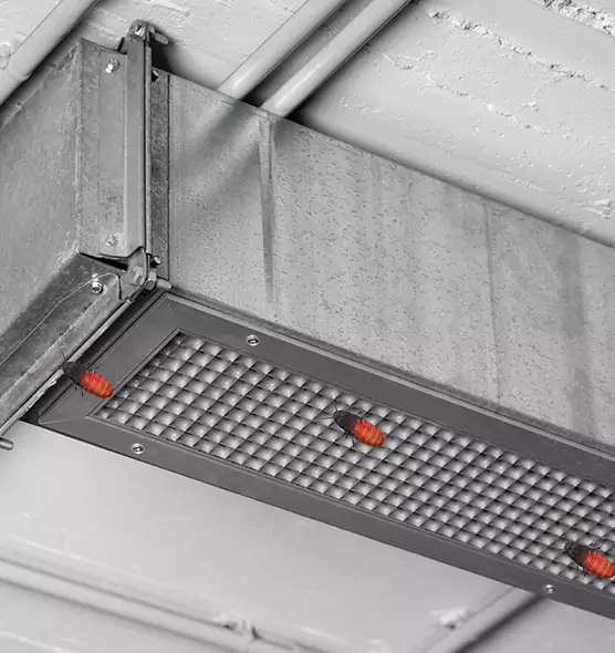 About Air Duct Cockroach Removal in Waterbury, CT