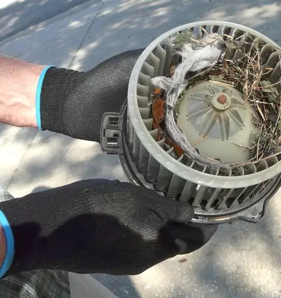 About Air Duct Mice Removal in Waterbury, CT