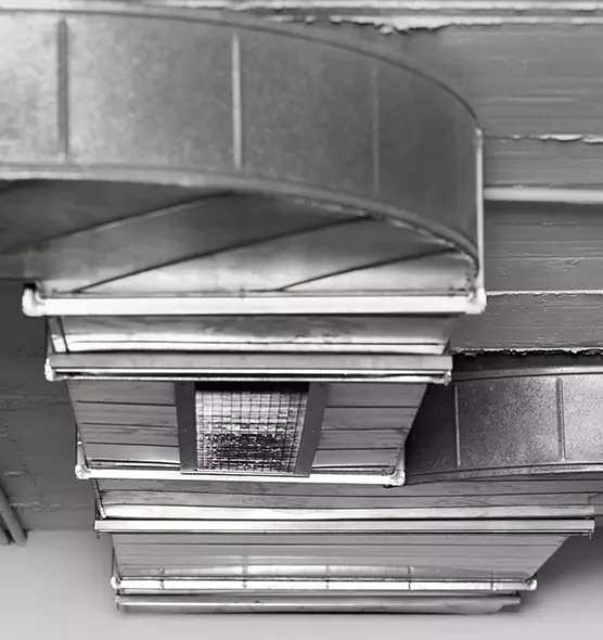 Professional Air Duct Pest Removal in Waterbury, CT