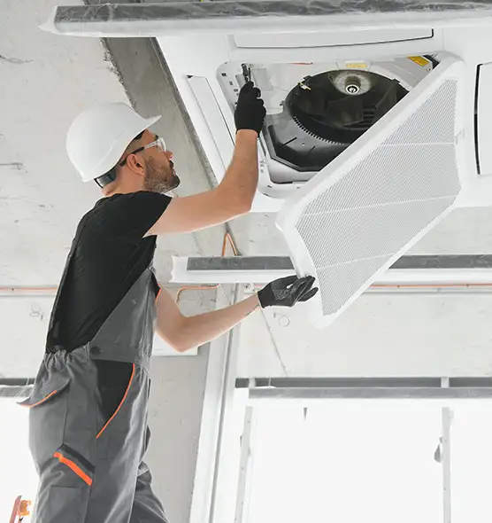 About Air Duct Rodent Removal in Waterbury, CT