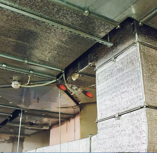 Why Homeowners & Businesses Trust Us in Waterbury, CT?