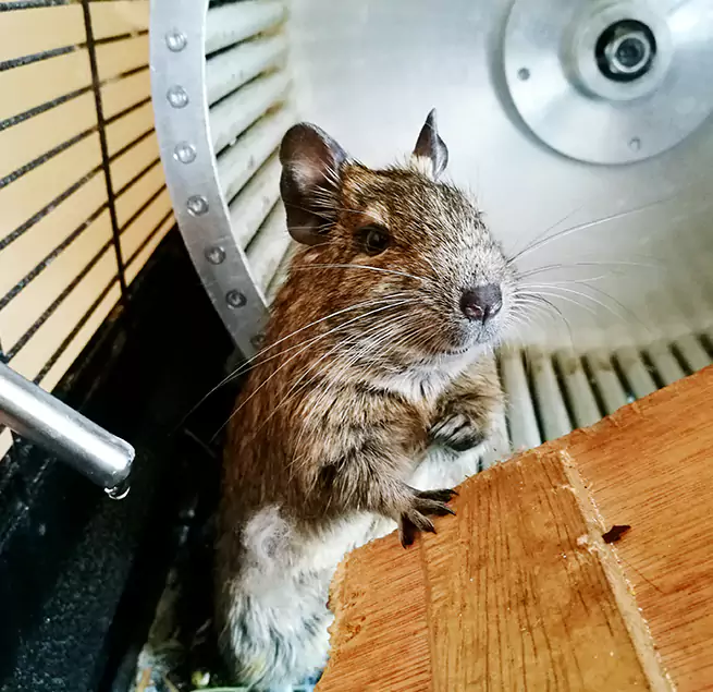 Why Homeowners & Businesses Trust Us Waterbury, CT